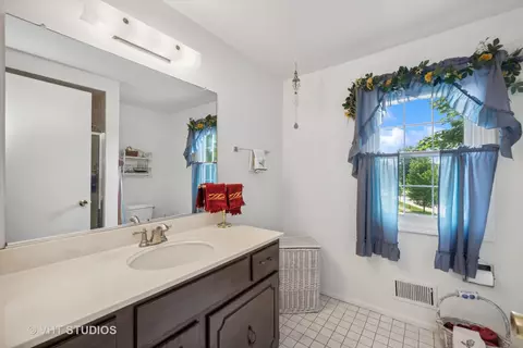 Bath - 313 Ambleside Dr, Roselle, IL 60172 photo 3 of 3