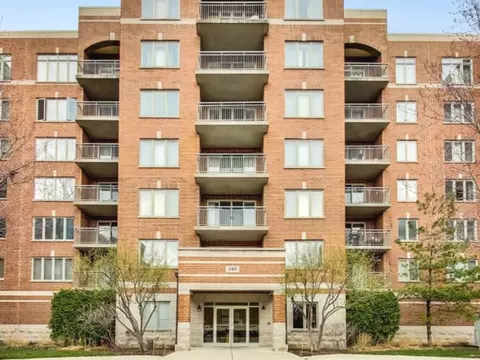 390 S Western Ave #203, Des Plaines, IL 60016
