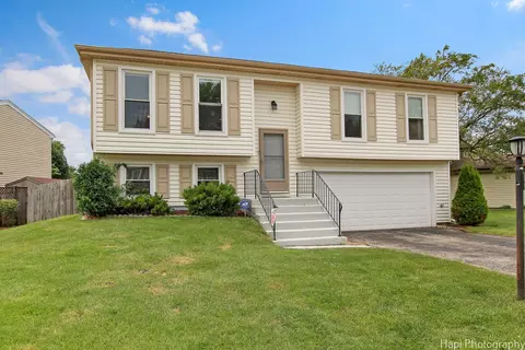 1110 Singleton Dr, Roselle, IL 60172