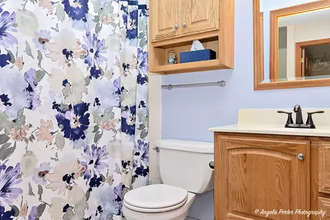 Bath - 1909 E Cholo Ln, Mount Prospect, IL 60056 photo 2 of 3