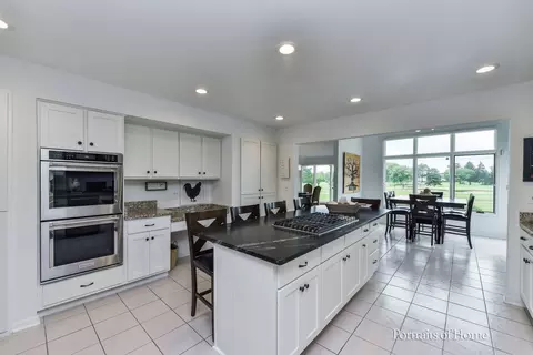 24149 Brancaster Dr, Naperville, IL 60564 photo 11