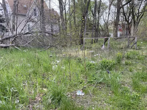 7151 S Champlain Ave, Chicago, IL 60619 photo 2