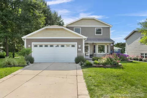 163 Meadows Ct, Sugar Grove, IL 60554