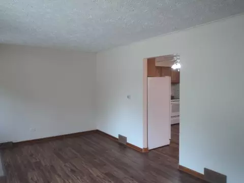 5440 S Hunt Ave, Summit, IL 60501 photo 13