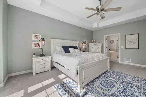 Bedroom - 25821 Ross St, Plainfield, IL 60585 photo 1 of 8