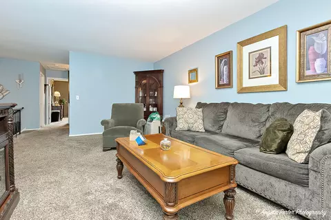 Living - 21 Pine Cir, Cary, IL 60013 photo 3 of 7