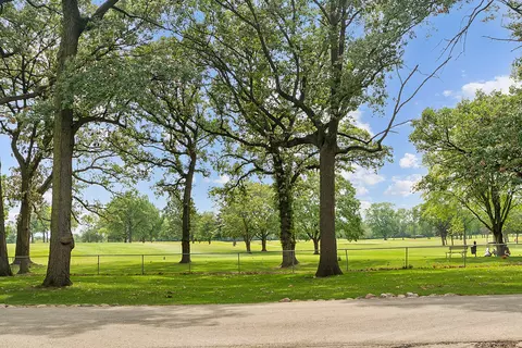 38 Billy Casper Ln, Midlothian, IL 60445 photo 30