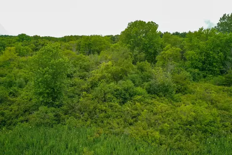 3981 S Chana Rd, Chana, IL 61015 photo 17