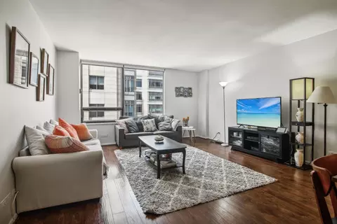233 Erie St #2201, Chicago, IL 60611 photo 2
