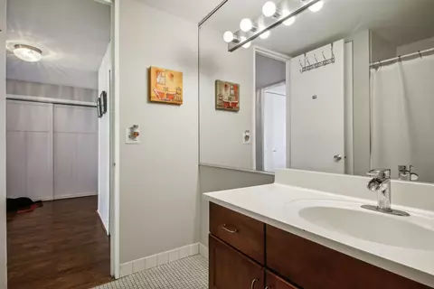 233 Erie St #2201, Chicago, IL 60611 photo 15
