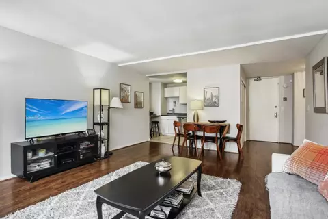 233 Erie St #2201, Chicago, IL 60611 photo 6