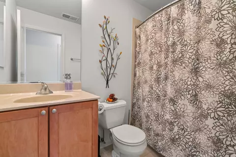 Bath - 220 River Front Dr, Mount Prospect, IL 60056 photo 5 of 5