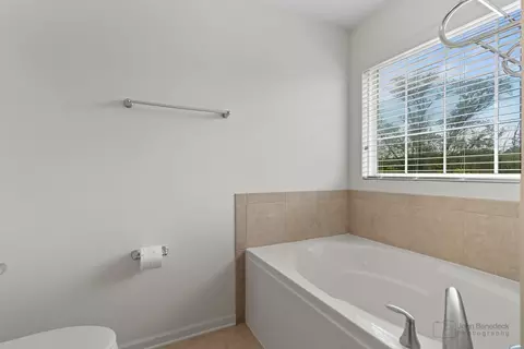 Bath - 220 River Front Dr, Mount Prospect, IL 60056 photo 4 of 5