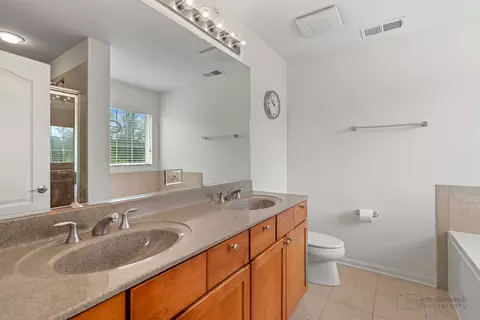 Bath - 220 River Front Dr, Mount Prospect, IL 60056 photo 2 of 5