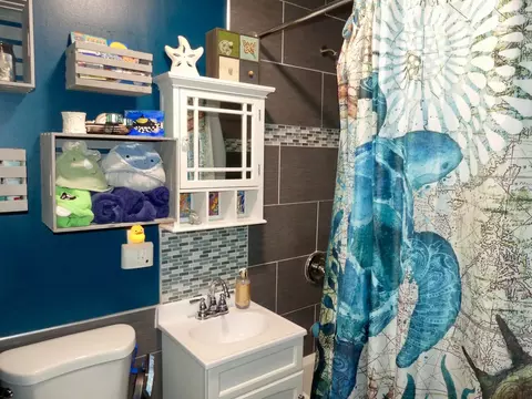 Bath - 525 Lincoln Dr, Hoffman Estates, IL 60169 photo 2 of 2