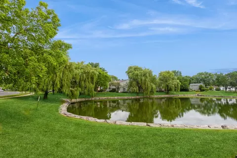 1664 Valley Forge Ct #E, Wheaton, IL 60189 photo 12