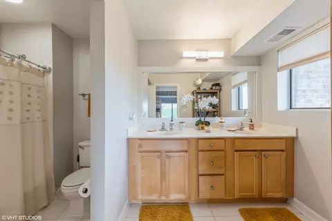 Bath - 5450 Astor Ln #418, Rolling Meadows, IL 60008 photo 3 of 5
