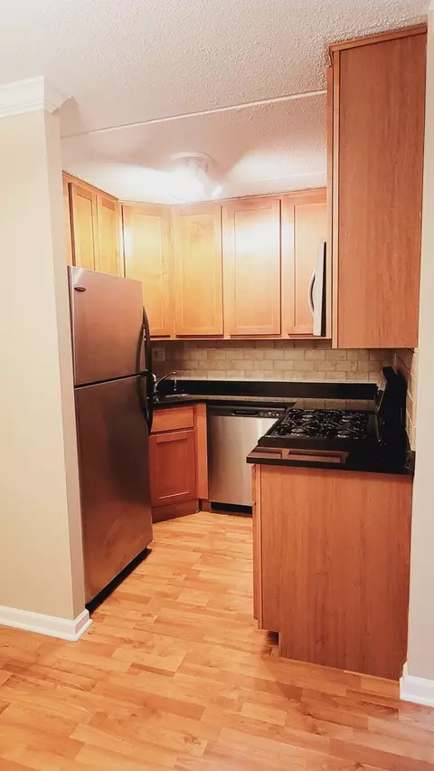 Kitchen - 561 Fairway View Dr #2D, Wheeling, IL 60090 photo 2 of 4