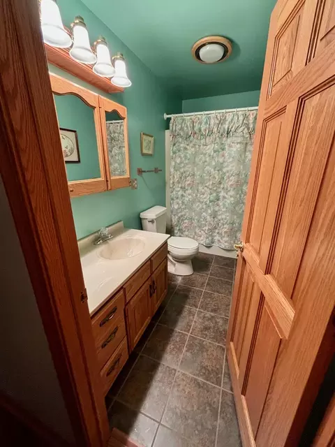 1685 W Mine Rd, Mazon, IL 60444 photo 42