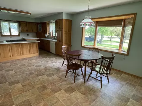 1685 W Mine Rd, Mazon, IL 60444 photo 33
