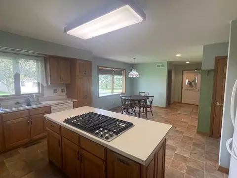 1685 W Mine Rd, Mazon, IL 60444 photo 29