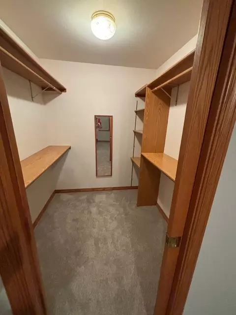 1685 W Mine Rd, Mazon, IL 60444 photo 39