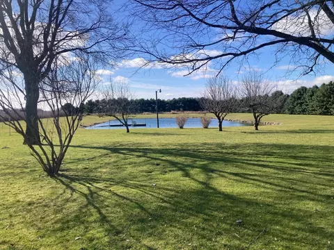 1685 W Mine Rd, Mazon, IL 60444 photo 11