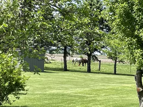 1685 W Mine Rd, Mazon, IL 60444 photo 12