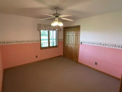 1685 W Mine Rd, Mazon, IL 60444 photo 44