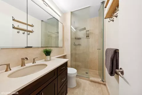 Bath - 100 E Bellevue Pl #16B, Chicago, IL 60611 photo 2 of 2
