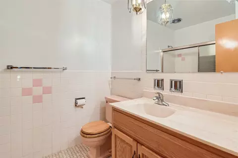 Bath - 902 E Golfview Dr, Mount Prospect, IL 60056 photo 3 of 3