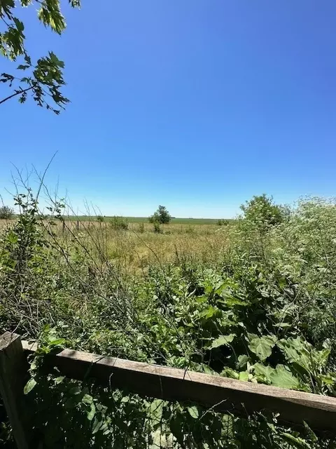 Other - 269 E 1300 North Rd, Onarga, IL 60955 photo 2 of 16