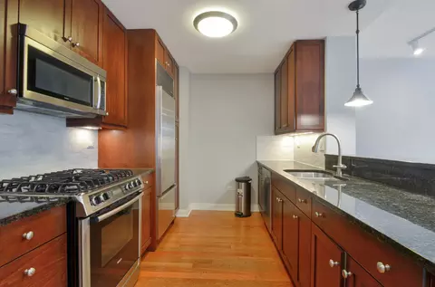 60 E Monroe St #1705, Chicago, IL 60603 photo 8