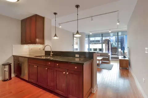 60 E Monroe St #1705, Chicago, IL 60603 photo 7