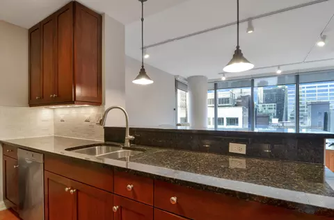 60 E Monroe St #1705, Chicago, IL 60603 photo 10