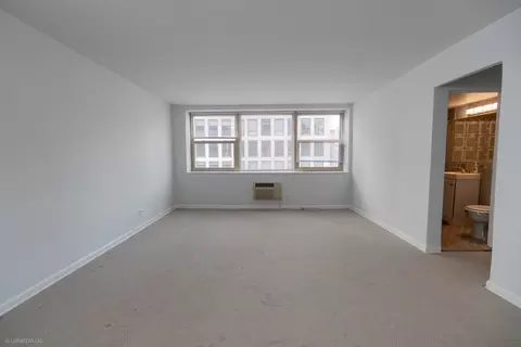 Other - 253 E Delaware Pl #23B, Chicago, IL 60611 photo 2 of 9