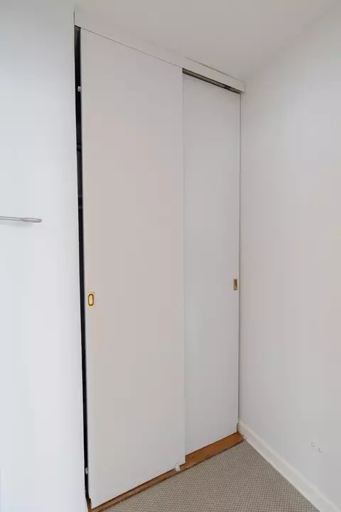 Other - 253 E Delaware Pl #23B, Chicago, IL 60611 photo 3 of 9