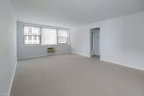 Living - 253 E Delaware Pl #23B, Chicago, IL 60611 photo 2 of 2
