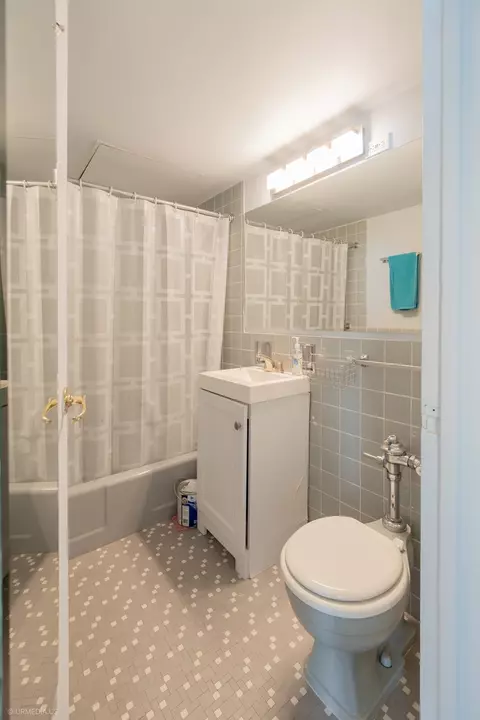 Bath - 253 E Delaware Pl #23B, Chicago, IL 60611 photo 1 of 1