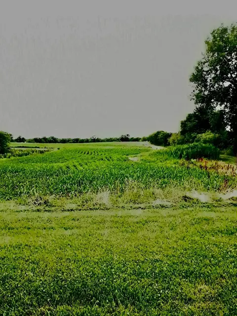 0 E 3009 Rd, Seneca, IL 61360
