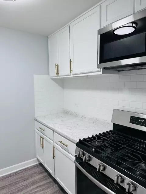 565 Heritage Dr #210, Hoffman Estates, IL 60169 photo 5