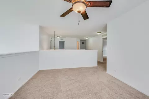 13929 Trillium Ln, Plainfield, IL 60544 photo 21