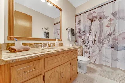 19635 Cambridge Dr, Mokena, IL 60448 photo 20