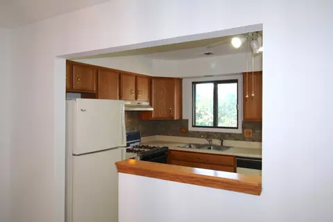 1033 Harbour Ct #2A, Wheeling, IL 60090 photo 12