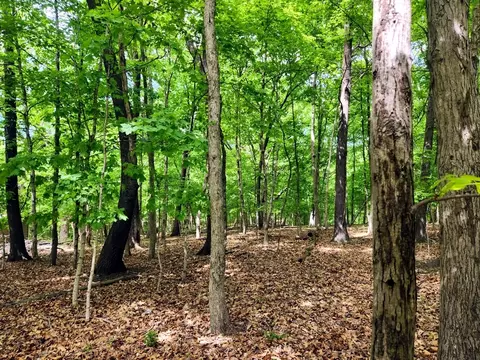 lot285 Winter Haven Dr, Varna, IL 61375