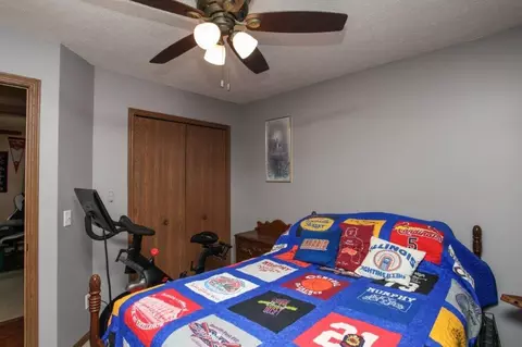 Bedroom - 203 Elm St, Le Roy, IL 61752 photo 2 of 5