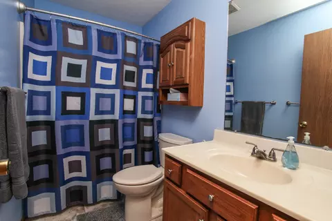 Bath - 203 Elm St, Le Roy, IL 61752 photo 1 of 3
