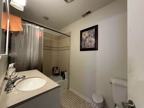 Bath - 315 Douglas Ave, Elgin, IL 60120 photo 1 of 1