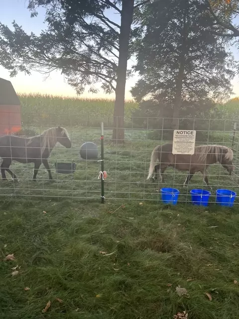 Other - 1191 N Cr 800e Rd, Champaign, IL 61822 photo 10 of 14