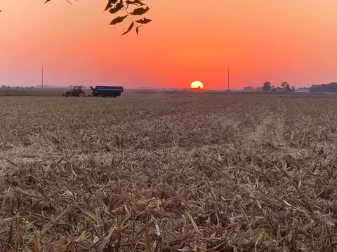 Other - 1191 N Cr 800e Rd, Champaign, IL 61822 photo 9 of 14